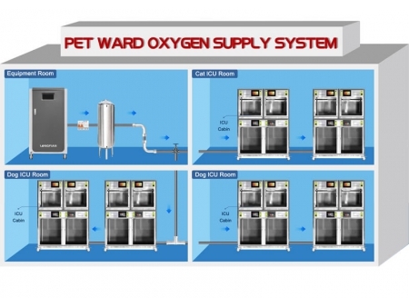Sistema generador de oxígeno para hospitales veterinarios