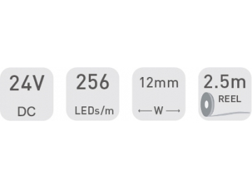 Tira LED  12mm 24V DS8256