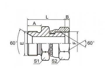 Adaptador macho 60º para manguera BSP, 2B