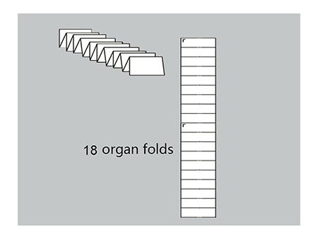 Plegadora de papel de 8 y 10 hebillas