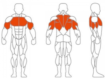 Máquina de musculación Assist Dip/Chin