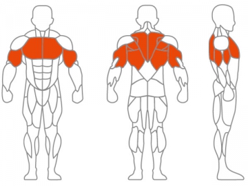 Máquina de musculación Assist Dip/Chin