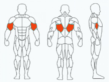 Máquina para estiramiento del músculo dorsal ancho