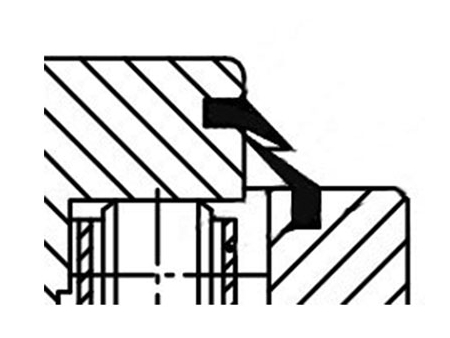 Corona de orientación con brida