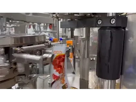 Envasadora rotativa al vacío (Bolsa preformada)