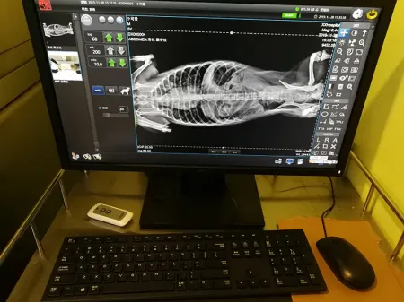 Equipo de Rayos X de Uso Veterinario, SHO-V32B