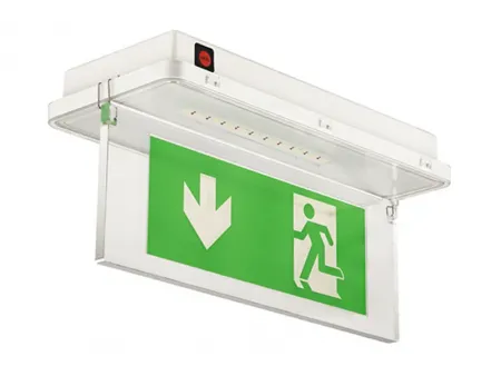 Señal de salida de emergencia LED IP65 a prueba de agua (11 LED SMD3528), LE515-11
