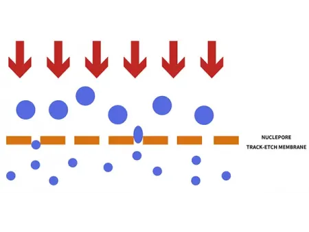 Sistema de extrusión de liposomas en línea