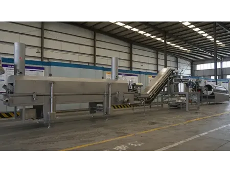 Freidora de Botanas  (Freidora Continua)