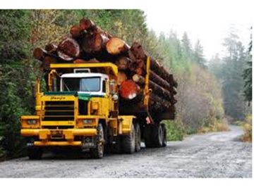 Logging Truck